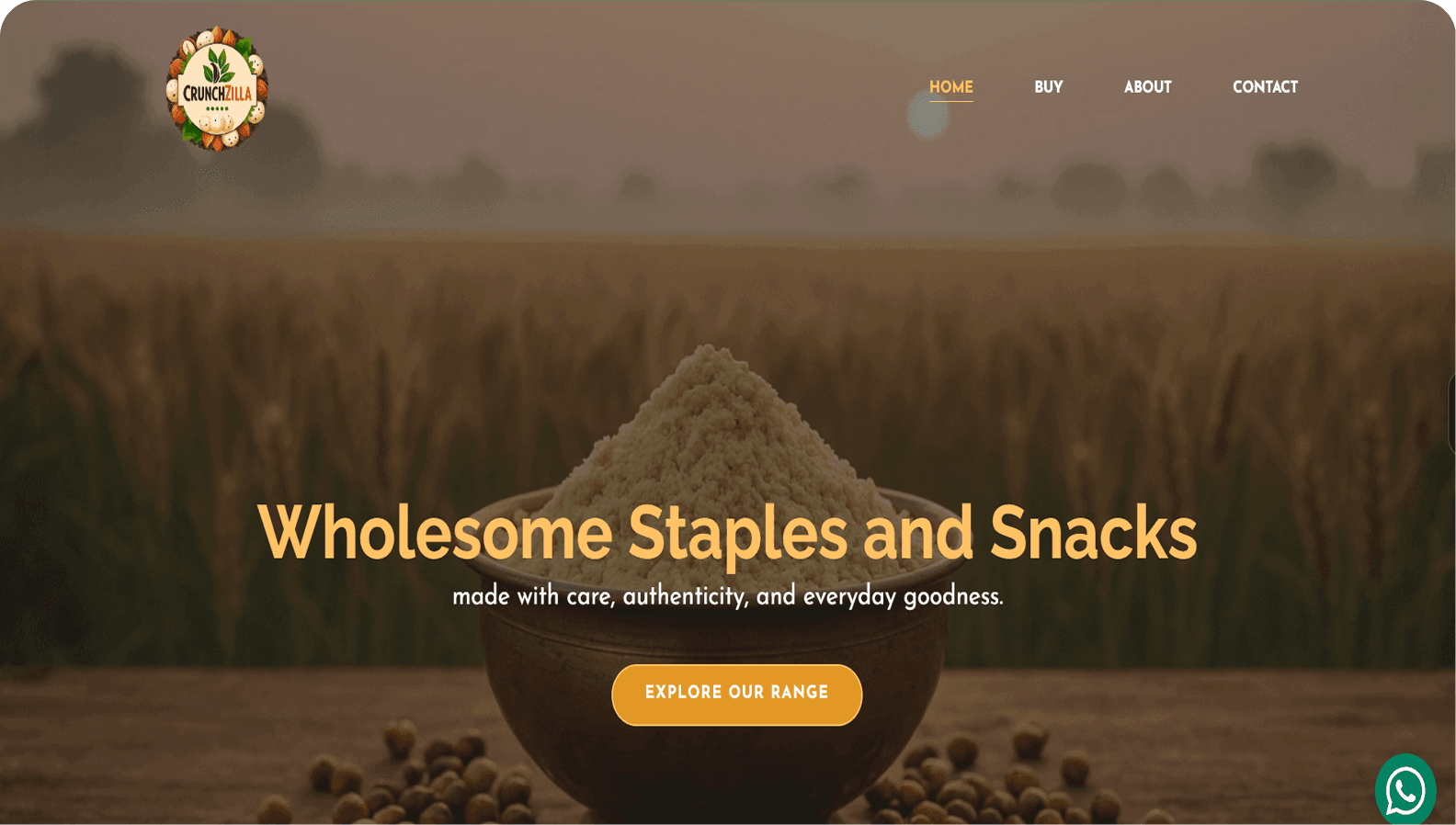 Crunchzilla  - Portfolio