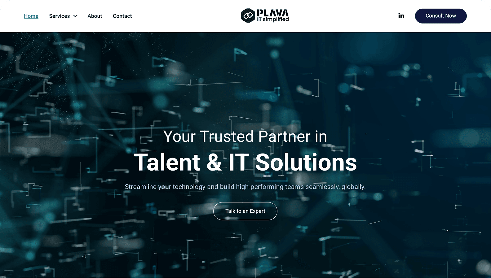 Plava - Portfolio