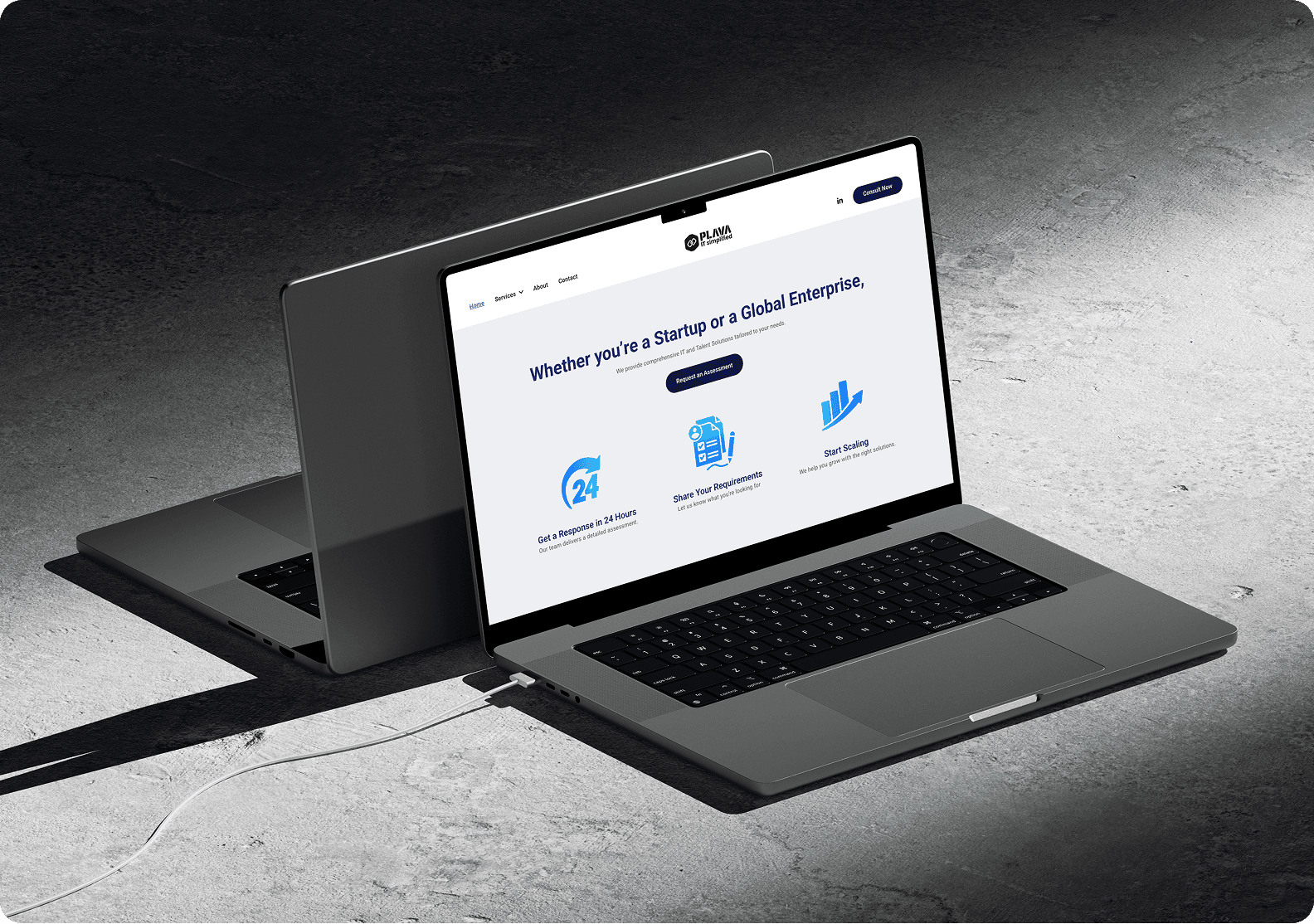 Plava - Additional View 1