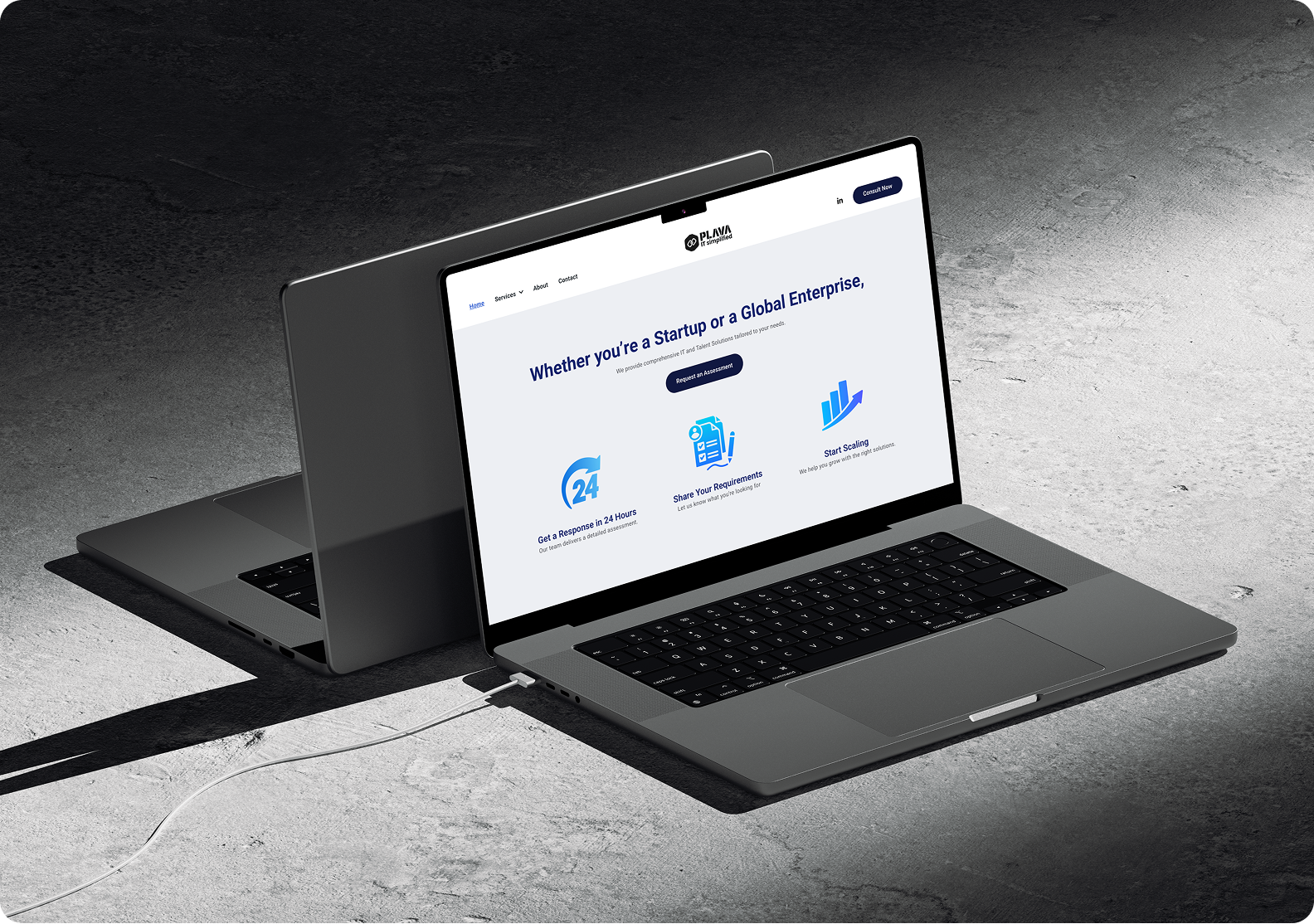 Plava  - Additional View 1